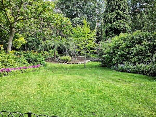 A beautiful garden with greenery